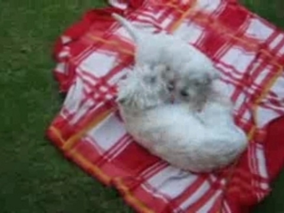 Monty&barclay