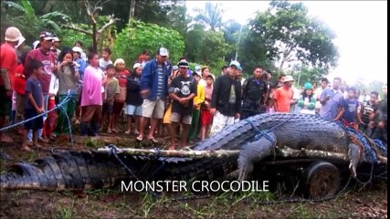WORLDS BIGGEST ANIMALS