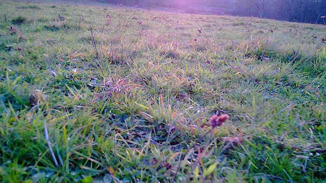 1er vol test drone wltoys v262