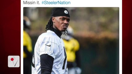 Steelers Wide Receiver Martavis Bryant Suspended for 1 Year