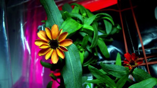 [МБН: 17.01] Ди Каприо мечтает сыграть Путина