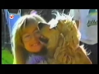CATS   DOGS SPECIAL (2) Funniest Home Videos part 224