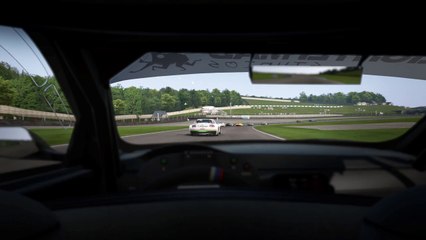 Project CARS 006