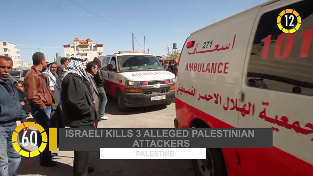 In the Vatican City: Vatileaks trial resumes. In Palestine: Israeli kills 3