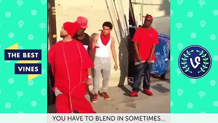 Anwar Jibawi Best Vines Compilation - Top Viners  2016