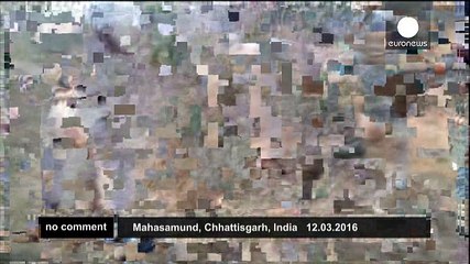 India: a bear shot by authorities