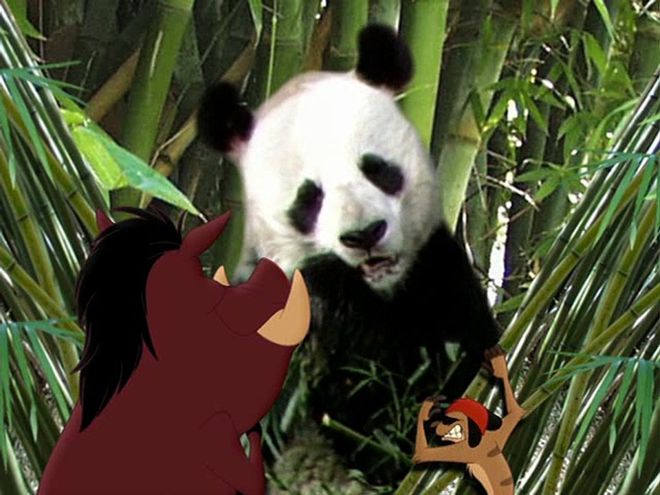 Find Out Why Pandas