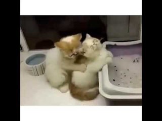 Sometimes all you need is a good massage from some good hands!