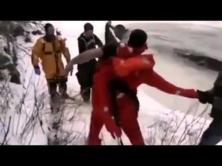 They Are Real Heros! Saving a dog