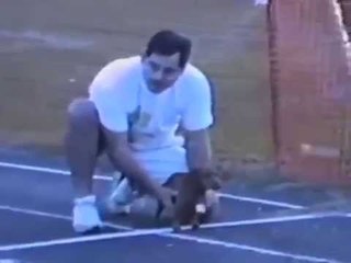 This dog knows how to win a race