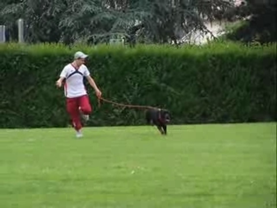 jo vs nico vs scott