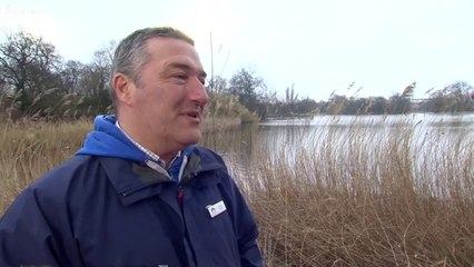 Canal and River Trust: 'Too much bread is being dumped in the waterways'
