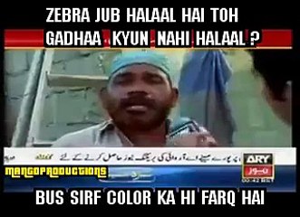 Zebra jub halaal hai toh gadhaa kyun nahi halaal - Hilarious Reply Of A Guy To Iqrar