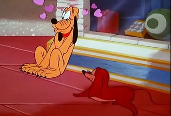 Desenhos Clássicos Disney, Pluto, PLUTOS HEART THROB, Mickey, ep45 1