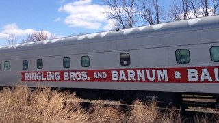 Ringling Circus Train in south Allentown