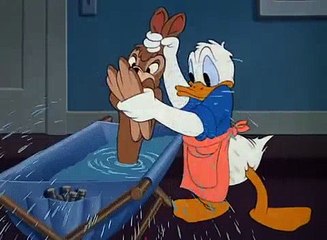 Donald Duck: Daddy Duck 1948  Old Cartoons
