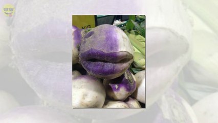 Funny shaped fruits and vegetables