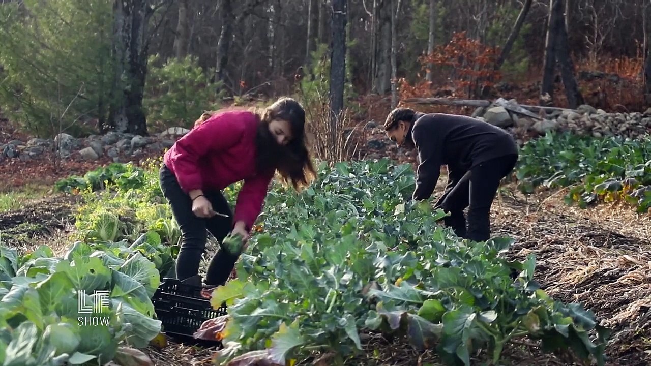 Laura Flanders Show: Food, Housing and Time for a Sick-Out