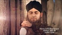 Aey Maa - Mera Koi Nahi Hai Tere Siwa BY HAFIZ AHMED RAZA QADRI RAMZAN ALBUM