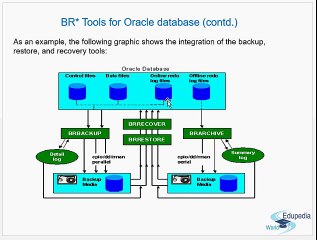 SAP BR tools