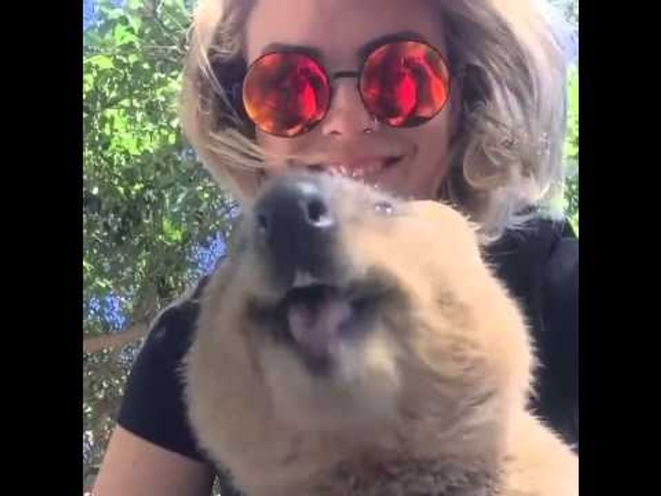 This might just make your heart explode