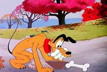Desenhos antigos clássicos Disney, Pluto, Tico e Teco, FOOD FOR FEUDIN, ep42 1