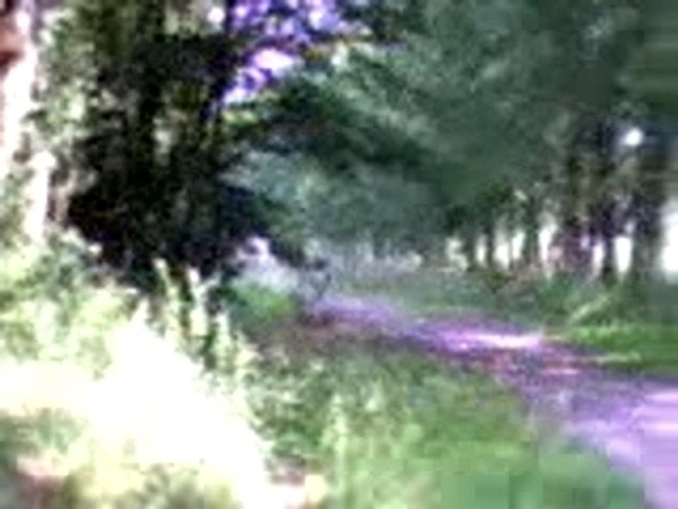 dirt - essai TT.3gp