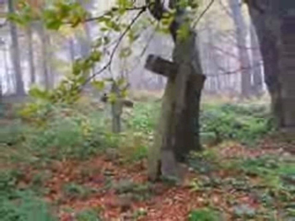 BESKID NISKI  Agroturystyczny Dom Gosi