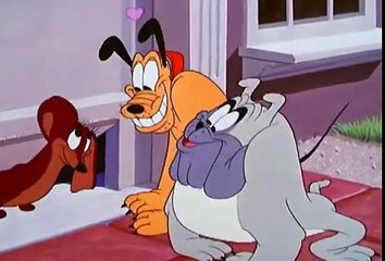 Desenhos Clássicos Disney, Pluto, PLUTOS HEART THROB, Mickey, ep45 2