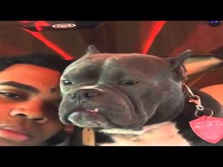 Kevin Gates Funny Instagram/Vines Compilation/Clips Funny Moments/Video 2015 #7
