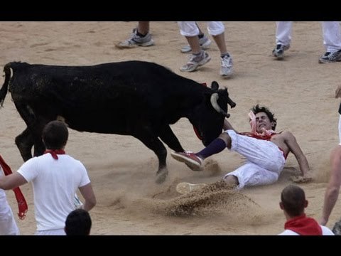 Animal Attacks Compilation 2016 HD - Bull Attack - Discovery Channel