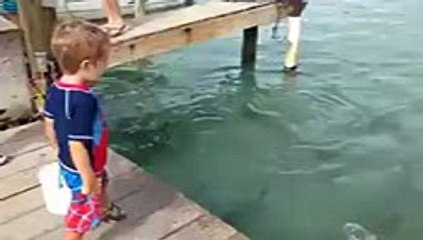 VID-20160213-WA0234_mpeg4