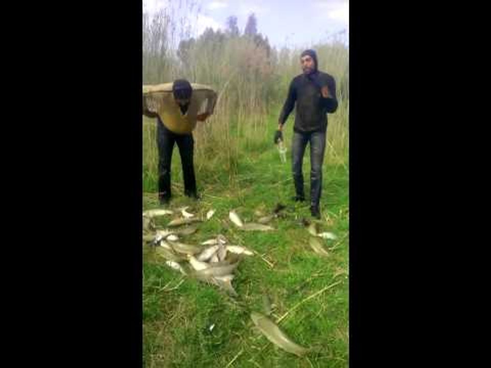 This must be what they call fish man