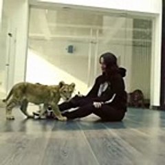 VID-20160213-WA0203_mpeg4