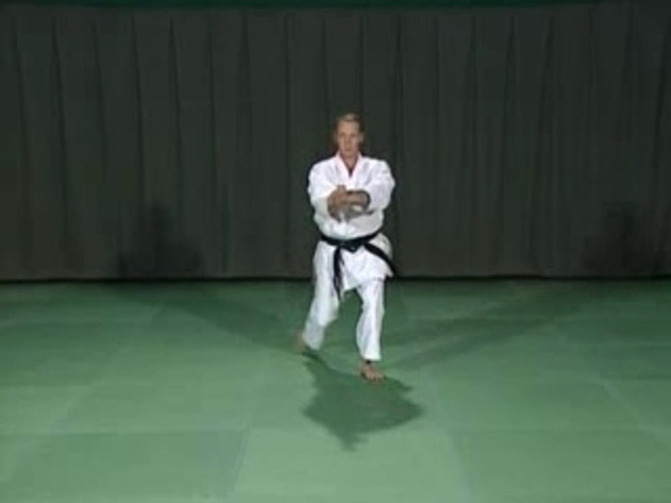 Démo du kata Kanku Sho par Yves Bardreau