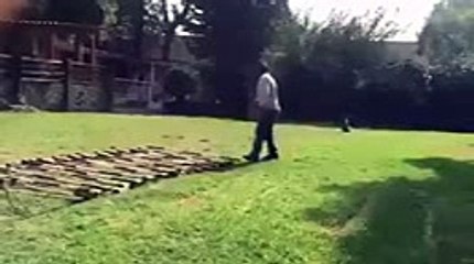 VID-20160213-WA0138_mpeg4