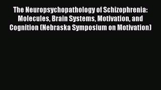 Download The Neuropsychopathology of Schizophrenia: Molecules Brain Systems Motivation and