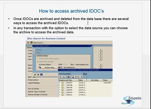 SAP Archiving (Accessing Archieved IDOC'S) - Part 3