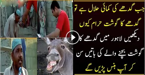 Hilarious Reply Of A Guy To Iqrar---Zebra jub halaal hai toh gadhaa kyun nahi halaal