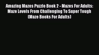 Download Amazing Mazes Puzzle Book 2 - Mazes For Adults: Maze Levels From Challenging To Super