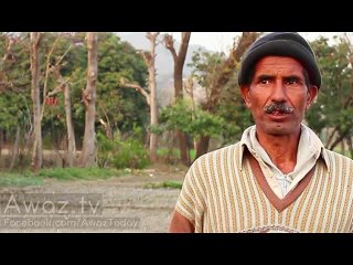 A Documentary on Billion Tree Tsunami Afforestation Project