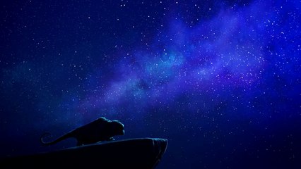 Clochette et la Créature Légendaire Extrait : Nuit Étoilée