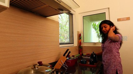 Phifers Chain Operated Roll Up System Mosquito Net