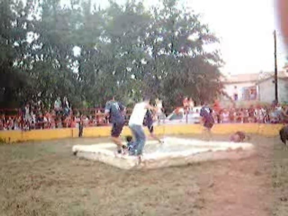 Toro Piscine