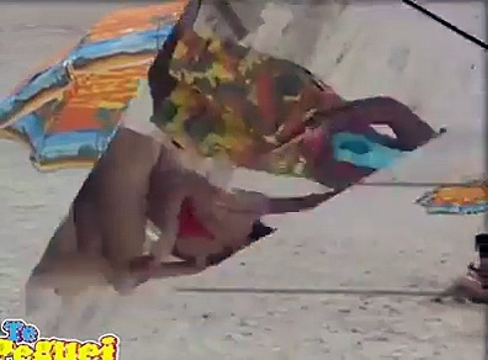 funny video