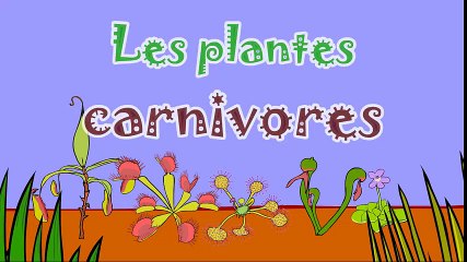 Les plantes carnivores - 2ème partie - dessin animé éducatif Genikids pour enfant  Dessins Animés En Français