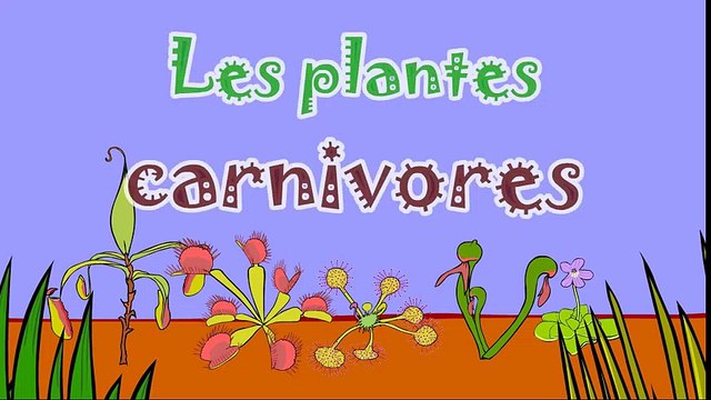 Les plantes carnivores - 2ème partie - dessin animé éducatif Genikids pour enfant Dessins Animés En Français