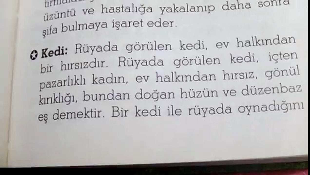 Rüyada Kedi Görmek