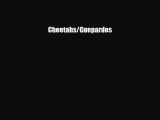 Read ‪Cheetahs/Guepardos Ebook Free