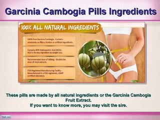 Garcinia Cambogia Pills